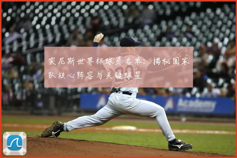 突尼斯世界杯球员名单:揭秘国家队核心阵容与关键球星