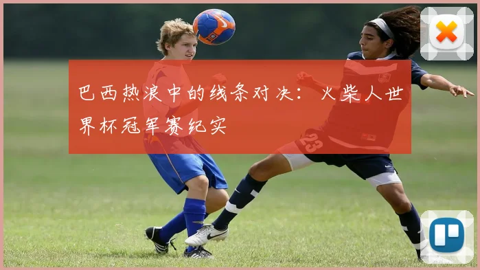 巴西热浪中的线条对决：火柴人世界杯冠军赛纪实