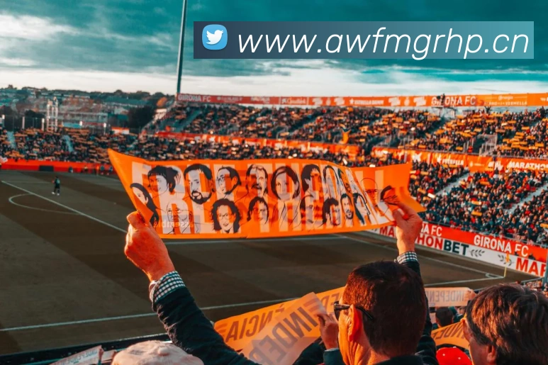 多媒体互动体验